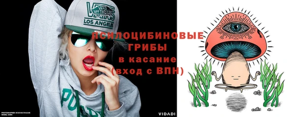 герыч Козельск