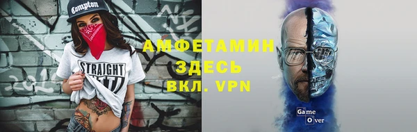 индика Кинешма
