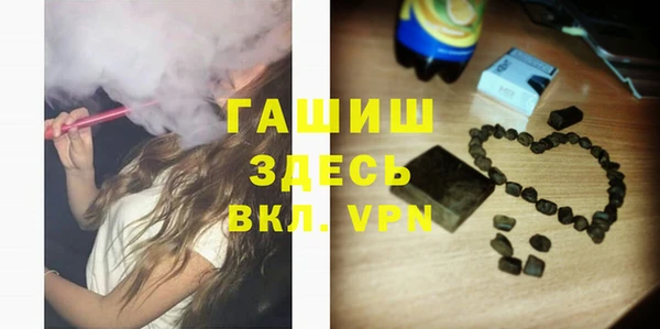 индика Кинешма