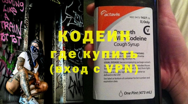 индика Кинешма
