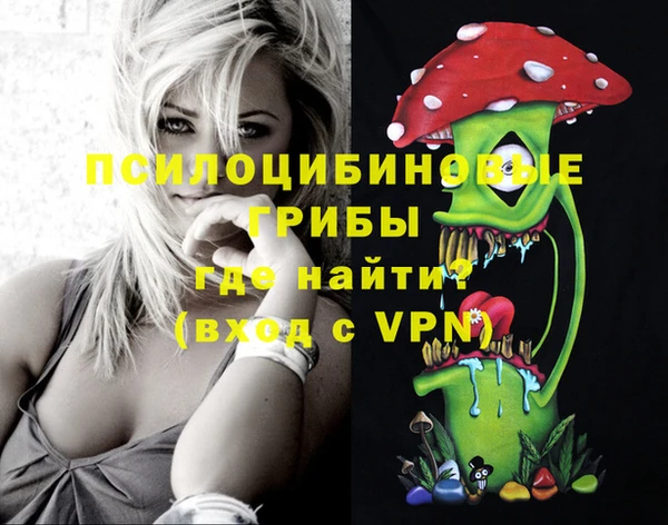 индика Кинешма