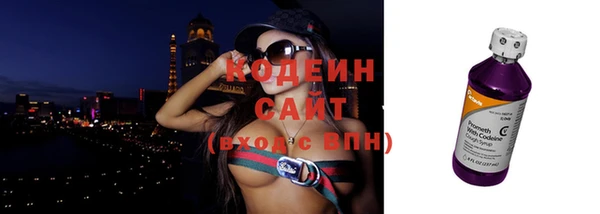 индика Кинешма