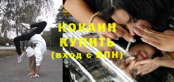 индика Кинешма