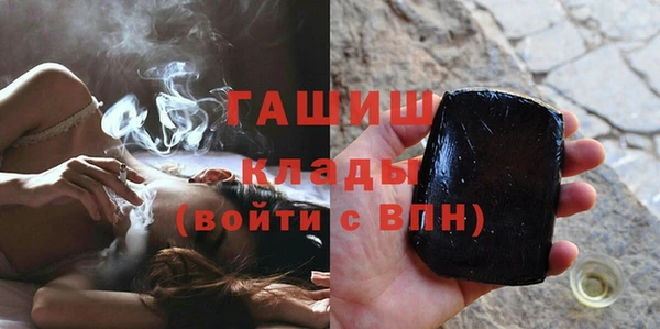 индика Кинешма
