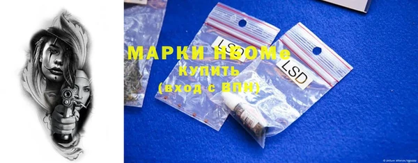 индика Кинешма