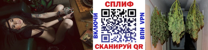 Марихуана гибрид Красный Холм